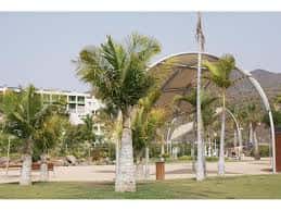 Pabellón con techo curvo y palmeras en el Parque de la Alegría