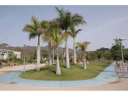 Jardín con palmeras y sendero azul en el Parque de la Alegría