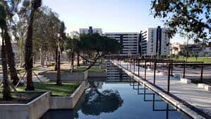 Vista del parque con canal de agua y palmeras bajo luz diurna