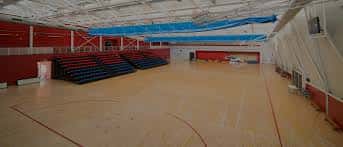 Pista deportiva interior con gradas y suelo de madera para eventos deportivos