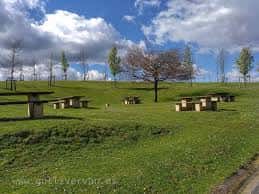 Área de picnic en el Monte Arraiz con mesas y bancos de madera