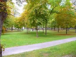 Vista del Parque del Prado en Vitoria con senderos y árboles frondosos