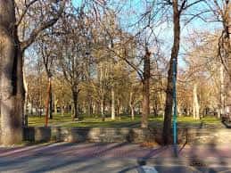 Paseo arbolado en el Parque del Prado con luz natural y ambiente tranquilo