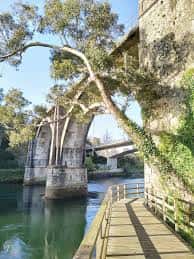 Puente de piedra sobre el río Lérez con pasarela peatonal y árboles frondosos