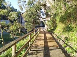 Pasarela de madera elevada entre árboles junto al río Lérez