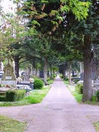 Sendero arbolado con tumbas y mausoleos en el Cementerio de Santa Isabel