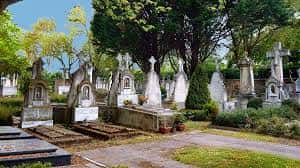 Vista panorámica de mausoleos y árboles bajo cielo despejado