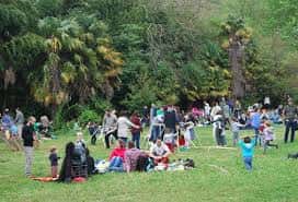 Grupo de visitantes en el área verde del parque, ideal para eventos al aire libre