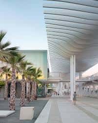 Pasarela cubierta con estructura blanca y palmeras en el Palmeral de las Sorpresas