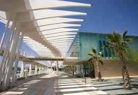 Área peatonal con techo ondulado y palmeras bajo el sol en el Palmeral de las Sorpresas