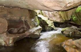 Río fluyendo entre rocas cubiertas de musgo en un entorno natural