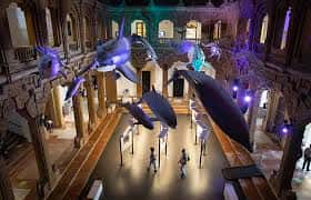 Vista panorámica del hall central con exhibición de cetáceos y visitantes recorriendo el espacio