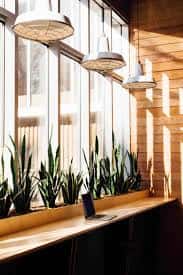 Detalle arquitectónico de PLATF9RM Brighton con plantas, luz natural y diseño minimalista