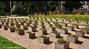 Detalle del jardín con múltiples cajas de madera dispuestas en filas ordenadas sobre grava