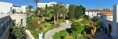 Jardines exteriores del complejo con palmeras y senderos peatonales