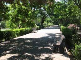 Sendero arbolado con bancos en el Parque Bruil