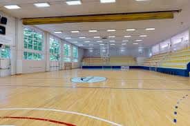 Pista de baloncesto interior con gradas y suelo de madera