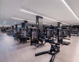 Interior del gimnasio del Forus con equipamiento deportivo moderno