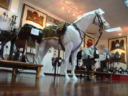 Exposición de monturas y arneses militares con un caballo blanco en primer plano