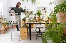 Mujer organizando plantas en estanterías dentro del espacio de Biznaga Atelier