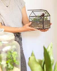 Detalle de una persona sosteniendo un terrario en mano dentro del estudio