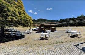 Vista general del chiringuito con mesas y sillas al aire libre bajo un árbol