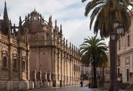 Vista de la fachada de la Catedral de Sevilla con palmeras y farolas en la calle Fray Ceferino González