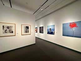 Interior de sala de exposiciones con obras de arte contemporáneo en pared blanca