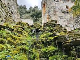 Pequeña cascada rodeada de musgo y ruinas de piedra en el Jardín Botánico