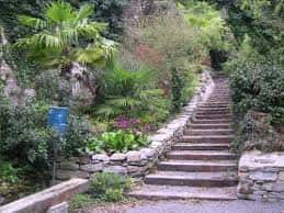 Escalinata de piedra entre palmeras y plantas exóticas