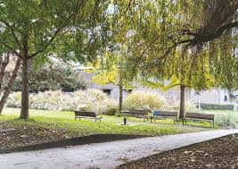 Área de descanso con bancos bajo árboles frondosos en el parque
