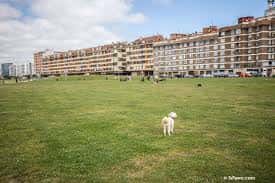 Vista panorámica del Solarón con césped y edificios residenciales al fondo