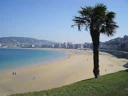 Vista panorámica de la Playa de la Concha con palmera en primer plano y ciudad al fondo