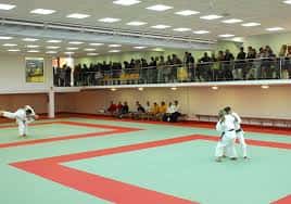 Interior del gimnasio con práctica de artes marciales y espectadores en la grada