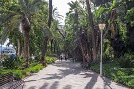 Sendero arbolado con palmeras y vegetación tropical en el Parque de Málaga