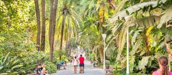 Paseo del parque con visitantes caminando entre árboles frondosos y bancos