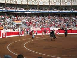 Plaza de toros con público en gradas y actividad en el ruedo