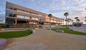 Plaza exterior del campus con palmeras y arquitectura contemporánea