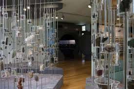Instalación artística con especímenes suspendidos en el interior del museo
