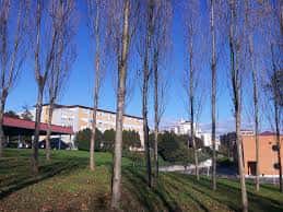 Edificio principal del colegio visto entre árboles en un día soleado