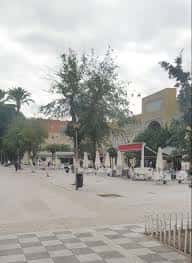 Vista general de la Plaza Diputado Ramón Rueda con terrazas y árboles