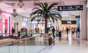 Interior del centro comercial con palmera decorativa, tiendas y pasarela de cristal