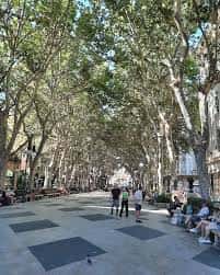 Paseo arbolado en la Plaça de la Reina con personas caminando y descansando