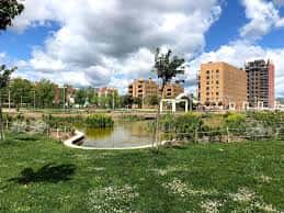Vista panorámica del Parque del Este con lago y zona verde