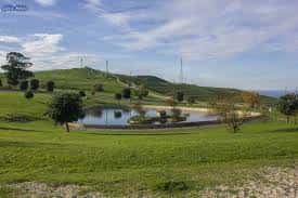 Lago central del parque rodeado de zonas verdes y árboles