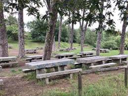 Zona de picnic con mesas de madera bajo árboles en el Parque Forestal de A Madroa