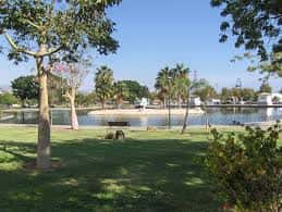 Vista del lago y zonas verdes del parque con árboles y bancos