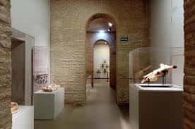 Pasillo expositivo con paredes de ladrillo y vitrinas de fósiles
