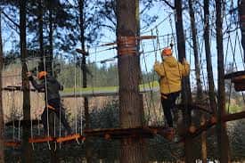 Personas navegando por un circuito de cuerdas en el bosque