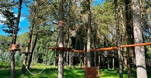 Vista general del parque de aventuras con circuitos entre árboles